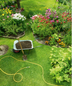 30+ Kox - Partner In Forst Und Garten, A mythic and emotionally